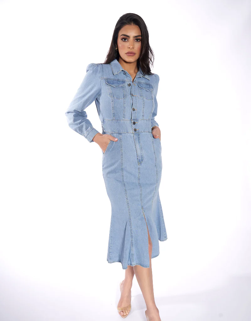 Mika Denim Dress - Image 4